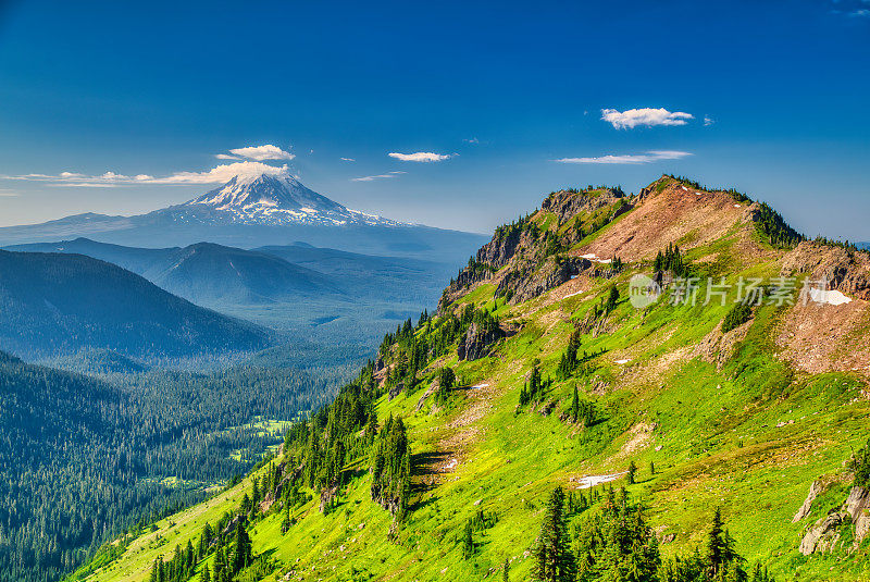 阿尔卑斯草甸和亚当斯山在Gifford Pinchot NF